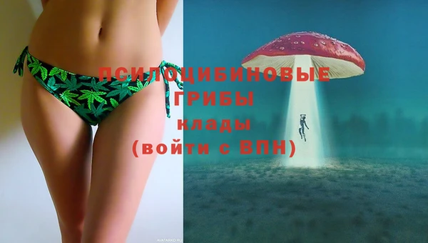 apvp Баксан